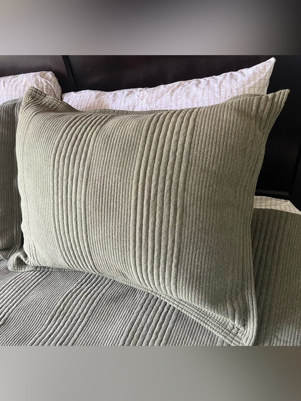 Cotton Cloud Jersey Sham in Dark Olive